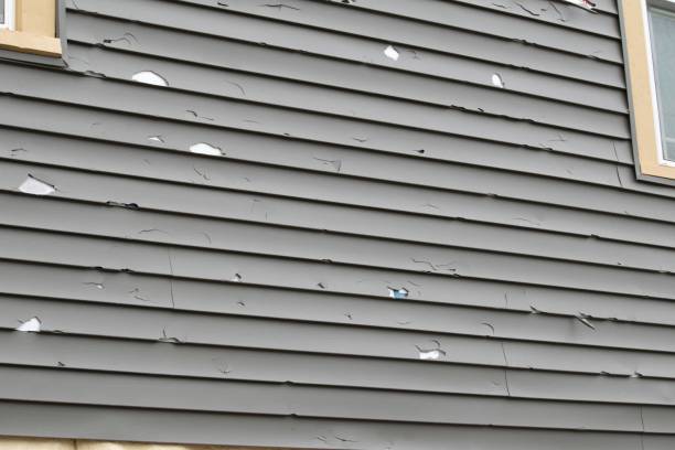 Affordable Siding Repair and Maintenance Services in Searingtown, NY